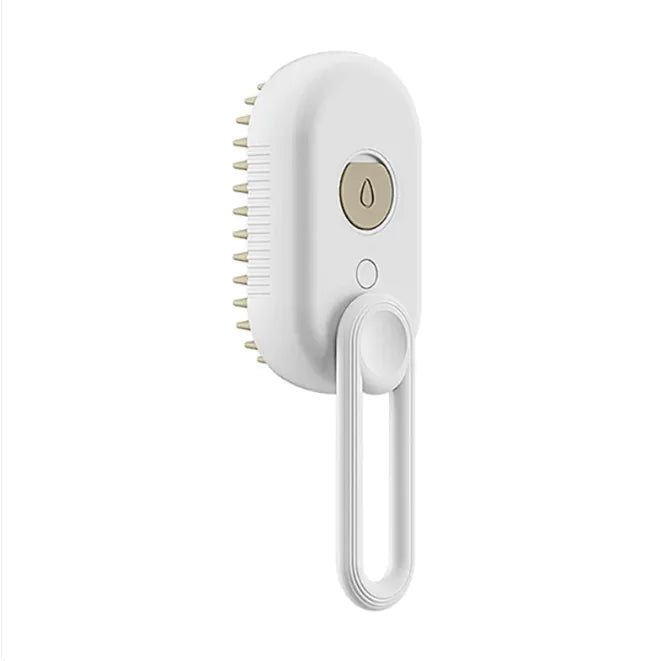 Electric Cat Steam Brush.
