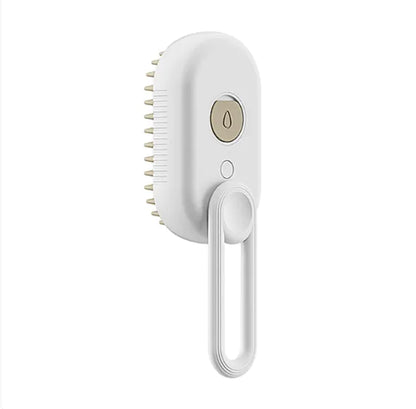 Electric Cat Steam Brush.