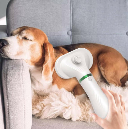 Pet Grooming Dryer.