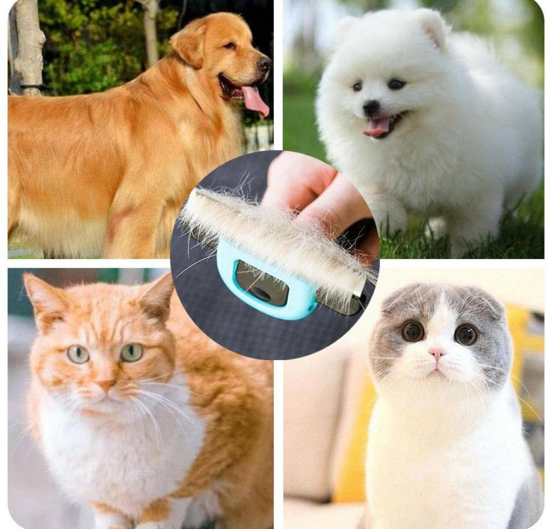 AINA Pet Grooming Comb.