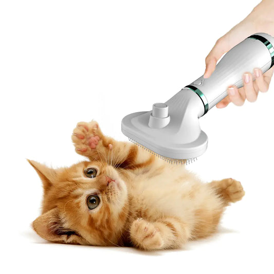 Pet Grooming Dryer.