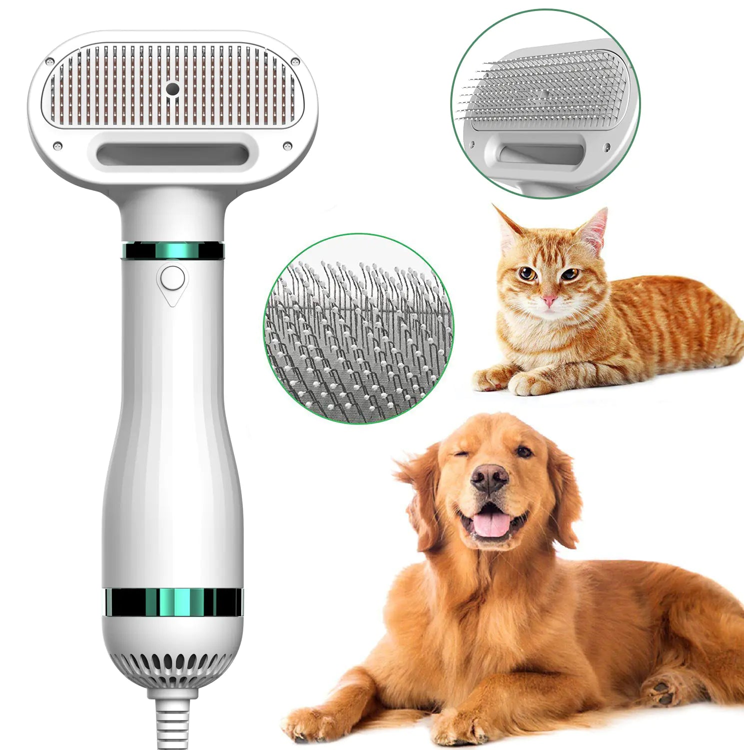 Pet Grooming Dryer.